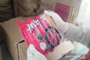 Liput daging impor ilegal, dua jurnalis TV diancam