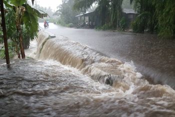 Sejumlah lokasi di Pasaman Barat dilanda banjir, ini titiknya