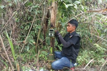 BKSDA Pasang Kamera Trap Pantau Satwa Dilindungi di Kebun Warga