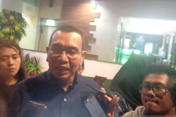 Stafsus BUMN: Ahli bidang keuangan dasar penunjukan Dirut PLN