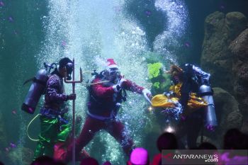 Manajemen Ancol berlakukan sentral parkir saat pergantian tahun 2019