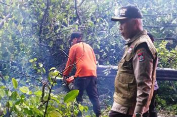 Curah hujan tinggi, Mahyeldi: masuk Padang waspadai wilayah yang berisiko