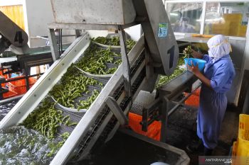 Ekspor kedelai edamame
