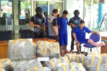 Dari tiga tersangka, BNNP Sumbar ungkap peredaran ganja seberat 183 kilogram