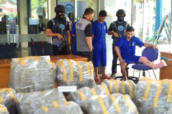 BNNP Sumbar ungkap peredaran ganja sebanyak 183 kilogram