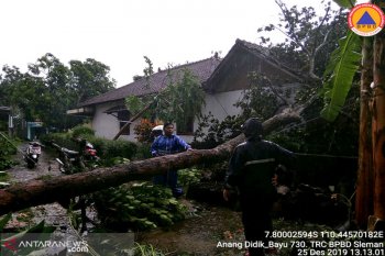 Hujan deras disertai angin kencang landa Jepara,  dua rumah tertimpa pohon tumbang