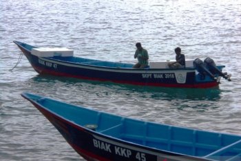 Transportation Ministry provides four water buses for Biak Numfor in 2020