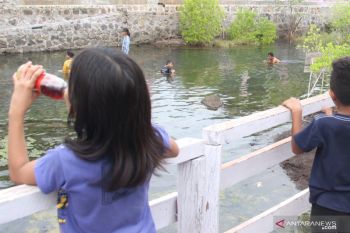 Obyek wisata air panas Oka tercemar limbah ikan