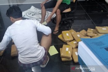Akan edarkan 50 kg ganja saat malam Tahun Baru, pria ini dtembak saat berusaha kabur