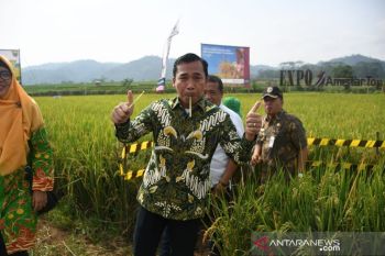 Bupati Batang minta Dipertan berikan pendampingan modernisasi pertanian