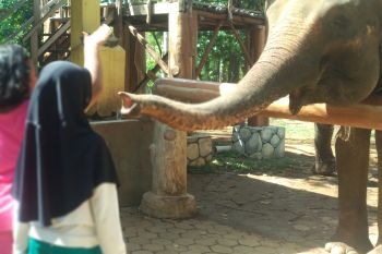 Taman satwa Lembah Hijau siapkan fasilitas tambahan dan hiburan