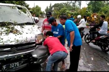 Sebuah mobil tertimpa pohon tumbang karena angin kencang
