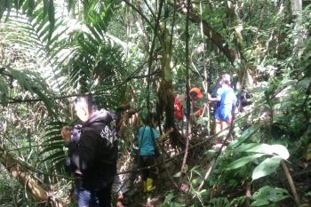 Bunga Rafflesia terbesar di dunia yang mekar di Agam mulai dikunjungi wisatawan