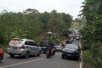 Wisatawan padati tempat wisata Lembah Hijau