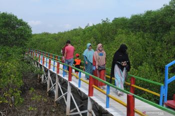 Ekowisata mangrove Pamekasan