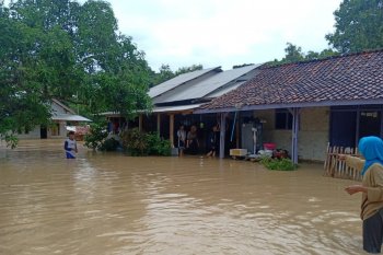 15 warga Karawang digigit ular di lokasi banjir