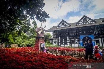 Wisata Farm House Lembang