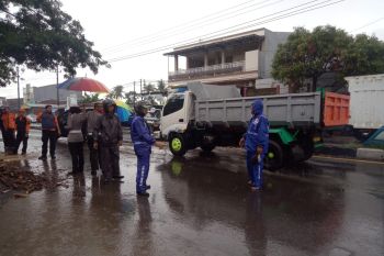Pohon tumbang menewaskan seorang  pengendara motor