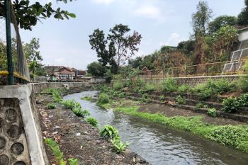 DLH Yogyakarta siagakan 40 "ulu-ulu" atasi sampah sungai