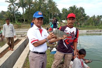 Agam targetkan produksi ikan air tawar 50 ribu ton, ini yang dilakukan