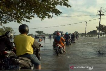 Kepala Daerah se-NTT mulai siaga bencana alam