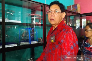 Afrika pasar potensial bagi pariwisata Babel