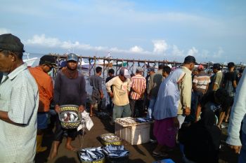 Harga Ikan di TPI Paotere Makassar naik akibat pengaruh cuaca