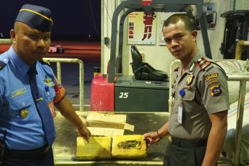Mengelabui dengan isi dokumen palsu, paket berisi ganja kering terdeteksi mesin X Ray BIM
