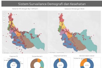 UI kembangkan aplikasi "sosdekes" pemantau kesehatan dan demografi Ibu dan Anak