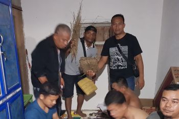 Satnarkoba Polres Pasaman Barat tangkap dua pengedar narkoba di Ujung Gading