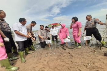 Polres Kotim tanam 1.000 mangrove selamatkan Pantai Ujung Pandaran