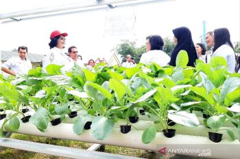 Unsur pendidikan di Kalteng antusias laksanakan pertanian masuk sekolah