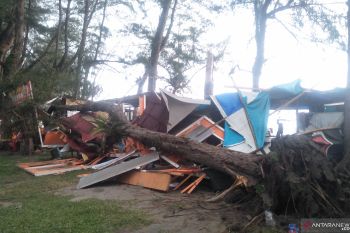 Sejumlah pohon di Pantai Pariaman tumbang dan menimpa gerobak pedagang (Video)