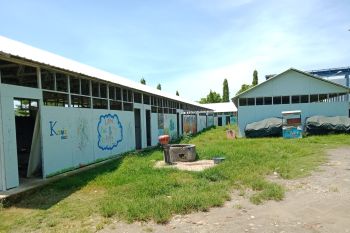 Dinas Mataram membangun aula di huntara nelayan