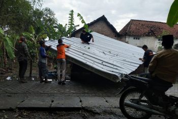 BMKG: Sebagian wilayah Jatim miliki potensi diterjang angin kencang