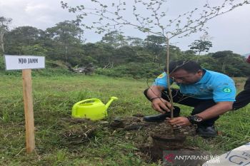 Polres Majene tanam pohon kembalikan hutan rusak akibat bencana
