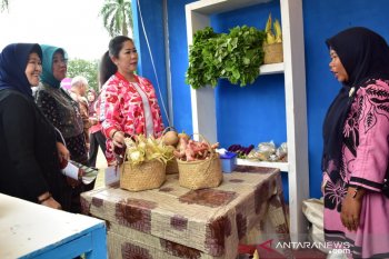 Gubernur minta  masyarakat lestarikan buah lokal