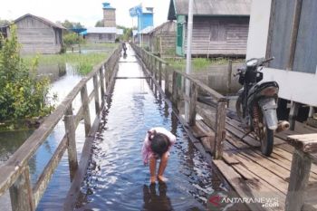 Masyarakat Kotawaringin Timur di kawasan rawan banjir mulai siaga