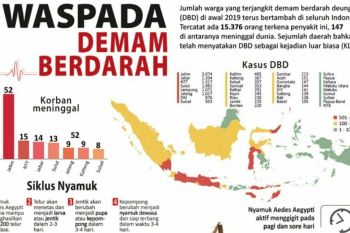 RSUD  tangani 7 kasus DBD pada pekan pertama Januari 2020
