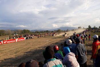 Penyintas Sigi gelar karapan sapi sebagai bentuk trauma healing