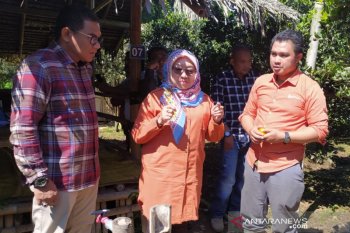 Kaum milenial harus semangat bertani