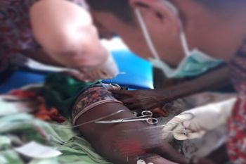 Polsek Atsi tangkap pelaku penganiaya di Kampung Bipim Asmat