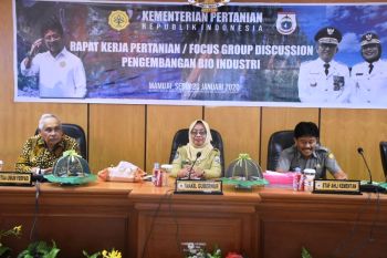 Wagub harap sektor pertanian Sulbar lebih maju dan berkembang