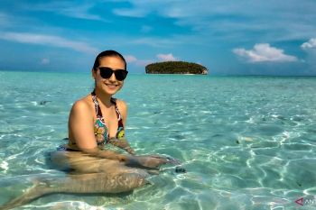 Bupati Raja Ampat minta pelaku pariwisata jaga kelestarian alam berkelanjutan