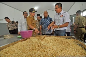 Pasha ajak warga Palu galakkan makan tempe