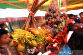 Desa Marajai bersiap gelar Festival Buah Lokal Kalimantan