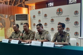Bidara laut bisa jadi opsi cegah tanah longsor