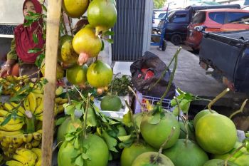 Jelang Imlek, jeruk bali marak dijual di Bandarlampung