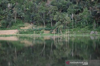Pemkab Garut kembangkan potensi wisata Situ Cukang Batu di Peundeuy