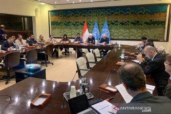 Di FAO, Mentan tawarkan bantuan pada negara Afrika-Pasifik